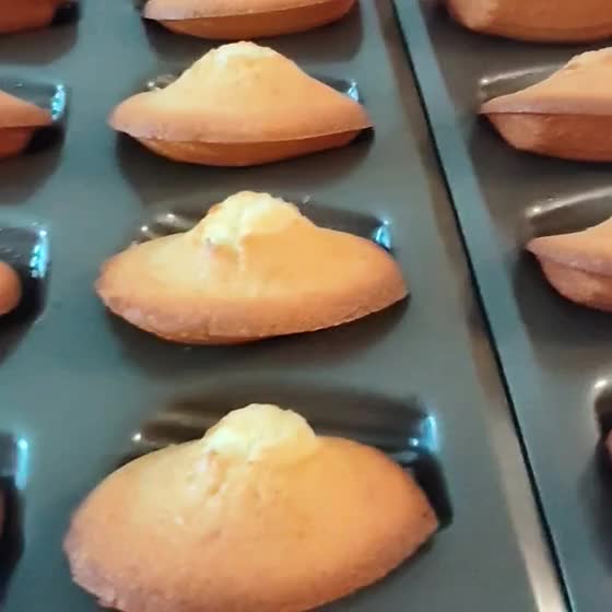 Madeleines dans leurs moules